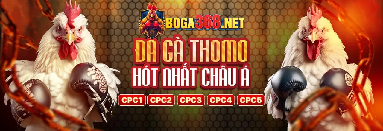 Đá gà trực tuyến kịch tính tại vin77722 win