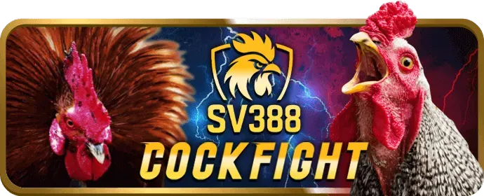 Cá cược các môn khác